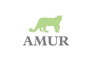 Amur Commercial Truck Financing