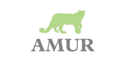 Amur Commercial Truck Financing logo